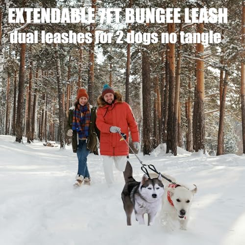 Double Dog Leash No Pull Bungee Hands Free Black Large Dogs - Image 2