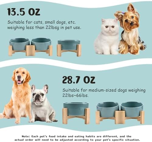 SPUNKYJUNKY 15° Slanted Ceramic Dog and Cat Bowl with Wooden Stand, Tilted Bulldog Food and Water Bowl No Slip Non-Spill for Cats Medium Dogs Big Face Pets 13.5 OZ (1.7 Cups, Light Green × 2) - Image 5