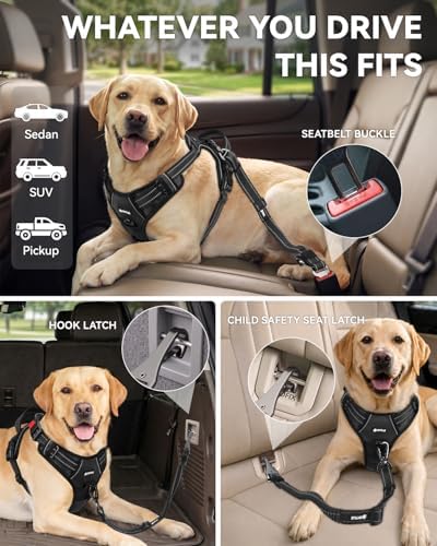 Joytale 3-in-1 Bungee Dog Seat Belt for Car, Medium and Large Dogs, Black - Image 2