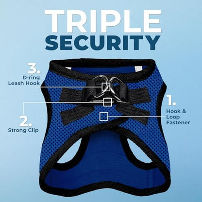 Best Pet Supplies Voyager Step-in Air All Weather Mesh Harness and Reflective Dog 5ft Leash Combo with Neoprene Handle, for Small, Medium and Large Breed Puppies - Royal Blue/Black Trim, Small - Image 2