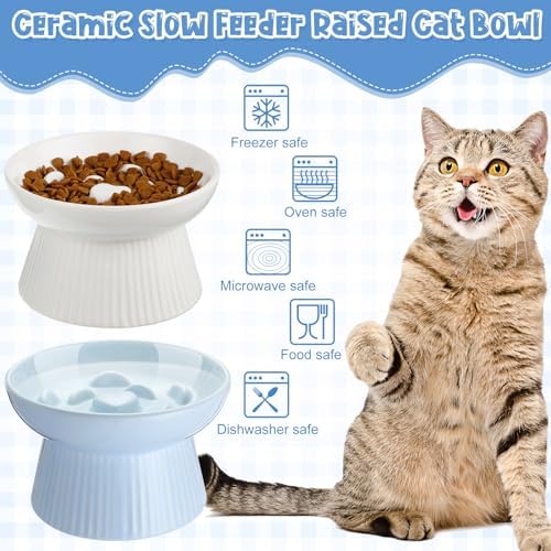 Tioncy 2 Pcs Ceramic Elevated Slow Feeder Cat Bowl, White, Blue - Image 6