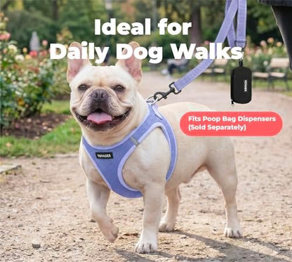 Best Pet Supplies Voyager Nylon Dog Leash - Lavender, Medium - Image 3
