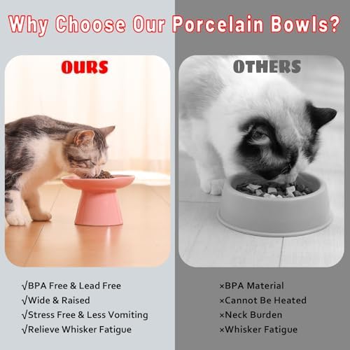 Extra Wide 6.1" Raised Cat Food Bowl, Shallow Ceramic Elevated Cat Feeder, Anti Vomiting, Stress Free, Whisker Fatigue, Pet Food or Water Bowl, Pink - Image 6