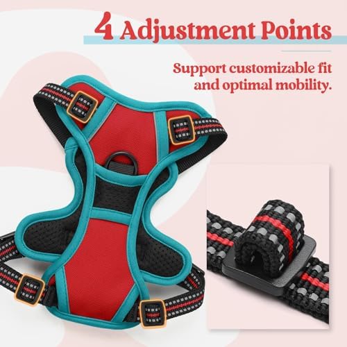 rabbitgoo Dog Harness, No Pull for Small Dogs with 2 Leash Clips, Pet Vest - Image 4