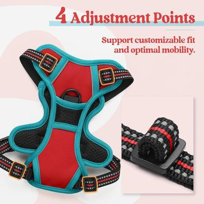 rabbitgoo Dog Harness, No Pull for Small Dogs with 2 Leash Clips, Pet Vest - Image 4
