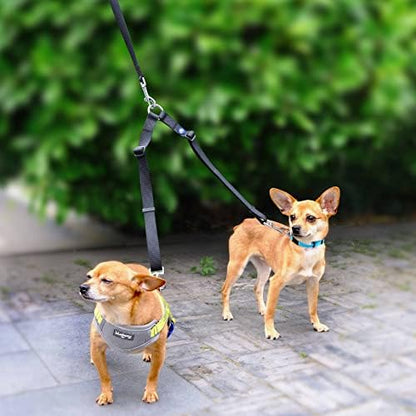 Blueberry Pet Essentials Durable Classic Double Dog Leash Coupler, Turquoise, Medium/Large, Dual Walking & Training Leashes for Two Dogs - Image 6