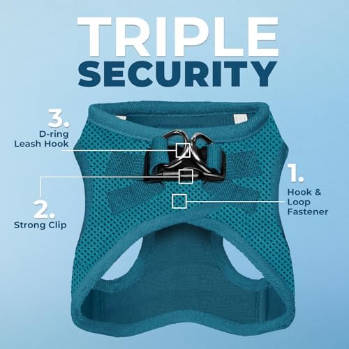 Best Pet Supplies Voyager Step-in Air All Weather Mesh Harness and Reflective Dog 5ft Leash Combo with Neoprene Handle, for Small, Medium and Large Breed Puppies - Turquoise, Large - Image 2