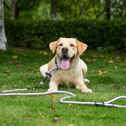 Rope Dog Leash, 6 Foot Heavy Duty Dog Leash with Aviation Aluminum Auto Locking Carabiner, Strong Nylon Pet Lead for Small, Medium, Large Dogs (Brown, 6FT) - Image 6