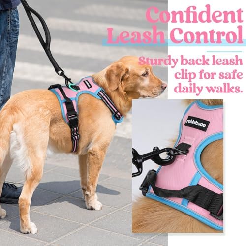 rabbitgoo Dog Harness, No Pull Medium Sized with 2 Leash Clips, Pet Vest - Image 5