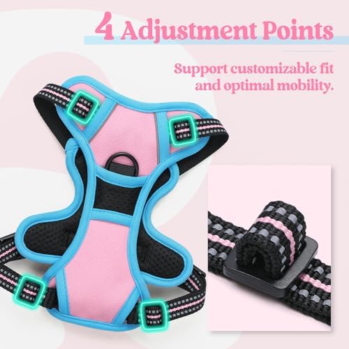 rabbitgoo Dog Harness, No Pull for Small Dogs with 2 Leash Clips, Pet Vest - Image 4