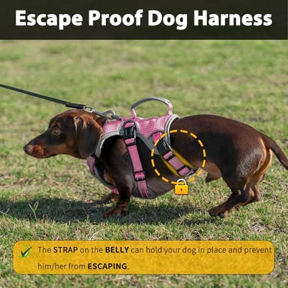 Huntboo Escape Proof Dog Harness, Dachshund Harness, Reflective Dog Harness with Handle, Durable,Adjustable Vest for Small Medium Large Dogs Walking, Training, and Running Gear (Pink,XL) - Image 2
