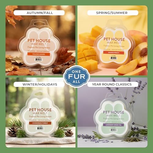 Juicy Melon Spring and Summer Wax Melts Plant-Based Wax, Pet House - Image 4