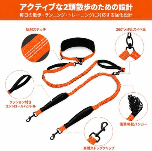 Hands Free Double Dog Leash, 4 Reflective Padded Handles, Adjustable Waist Belt 27-51", Shock-Absorbing Bungee, 360° Swivel Clips, for Small, Medium & Large Dogs, Walking Jogging Running - Image 2