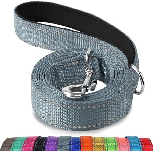 Joytale Reflective Dog Leash for Medium & Large Dogs, 4 FT x 1", Gray by Joytale