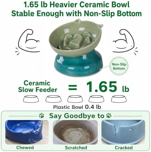 Ceramic Slow Feeder Cat Bowl, 15-Degree Tilted Non-Slip - Image 5