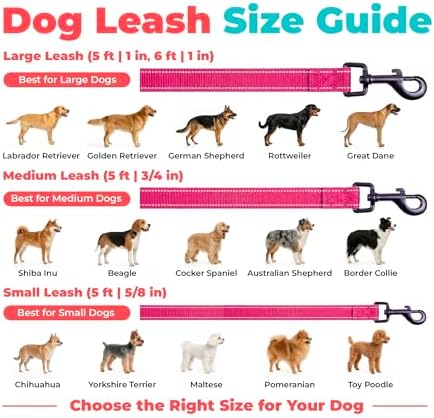 Best Pet Supplies Voyager Nylon Dog Leash - Fuchsia, Small - Image 6
