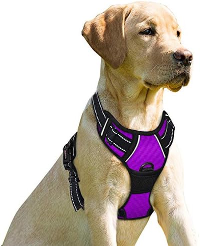 BARKBAY No Pull Dog Harness Front Clip Heavy Duty Reflective Easy Control Handle for Large Dog Walking(Purple,M) by BARKBAY