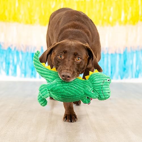 Fringe Studio Plush Dog Toy, Thorny But Cute, PetShop Collection (314156) - Image 5
