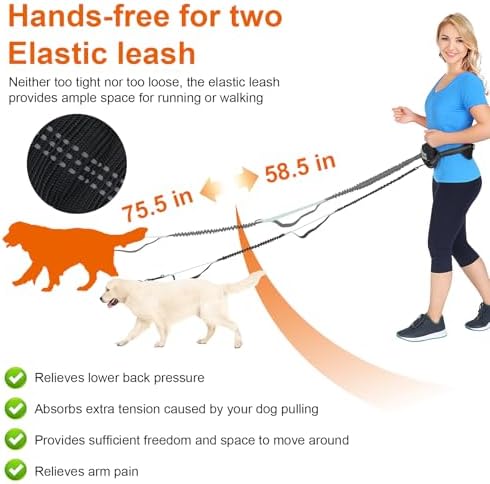Hand Free Dog Leash with Pouch, Dog Walking Belt Retractable Leash for 2 Dogs with Dual Handles for Running Walking Jogging Pet Belt - Image 2