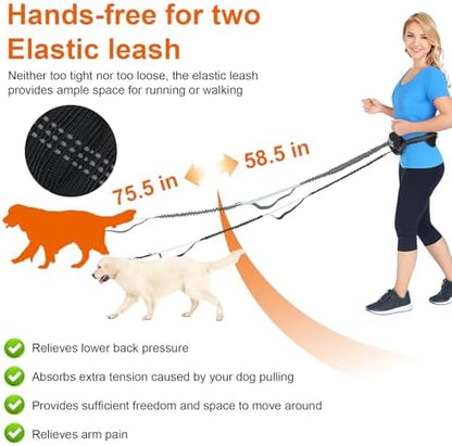 Hand Free Dog Leash with Pouch, Dog Walking Belt Retractable Leash for 2 Dogs with Dual Handles for Running Walking Jogging Pet Belt - Image 2