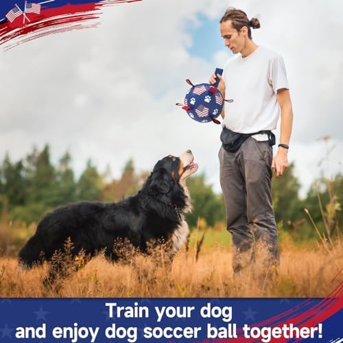 QDAN Dog Balls with Straps, Large Herding Balls for >90lbs Dogs, Soccer Toy - Image 3