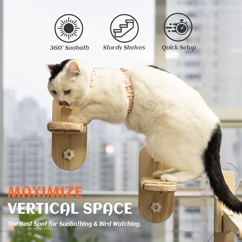 PETKARAY Large Cat Window Shelf, Upgraded Window Stairs for Indoor Cats, Sturdy Wooden Steps with Sisal Surface, Easy Access to Perch & Windowsill, 2 Packs - Image 4