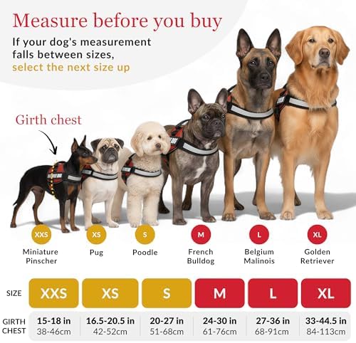 ALBCORP Service Dog Vest Harness – Reflective Service Animal Vest, No-Pull Harness with Handle & Mesh Padding – Sizes XXS-XL for Puppies – 2 Removable Service Patches Included (XXS, Maroon) - Image 3