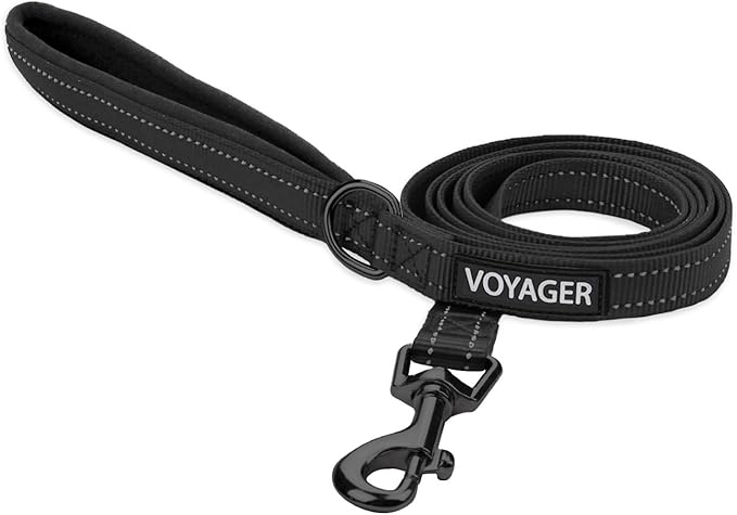 Best Pet Supplies Voyager Reflective Dog Leash or Collar with Neoprene Handle, for Small, Medium, and Large Breed Puppies, Cute and Heavy Duty for Walking, Running and Training - Black (Leash), L