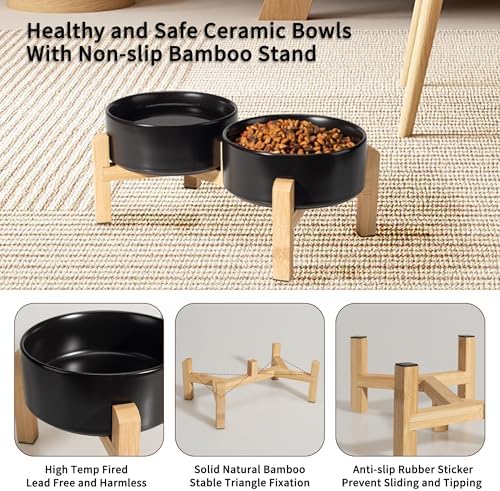 Elevated Ceramic Dog Bowl, 2 Cups Dog Food and Water Bowl Set with Stand - Image 3