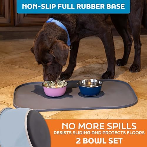 Master Pet Supply Stainless Steel Dog Bowls Set of 2 - Glacier Blue - 16 Oz - Image 4