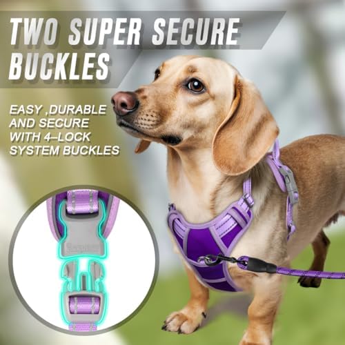 BARKBAY Dog Harness No Pull for Small Sized Dog Front Back Clips,Dog Vest - Image 4