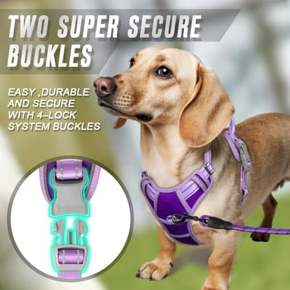 BARKBAY Dog Harness No Pull for Small Sized Dog Front Back Clips,Dog Vest - Image 4