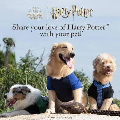 Harry Potter Sorting Hat Plush Burrow Dog Toy with Crinkle, 10 Inch - Image 6