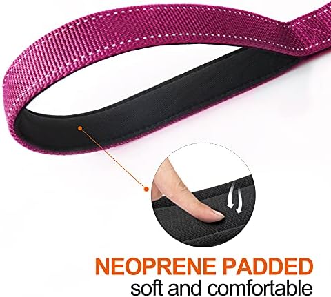 Twoear 4FT 1IN Heavy Duty Dog Leash for Large Dogs with 2 Padded Handles - Image 4
