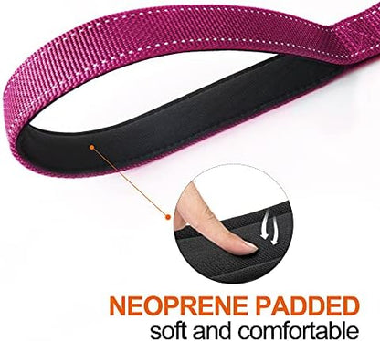 Twoear 4FT 1IN Heavy Duty Dog Leash for Large Dogs with 2 Padded Handles - Image 4