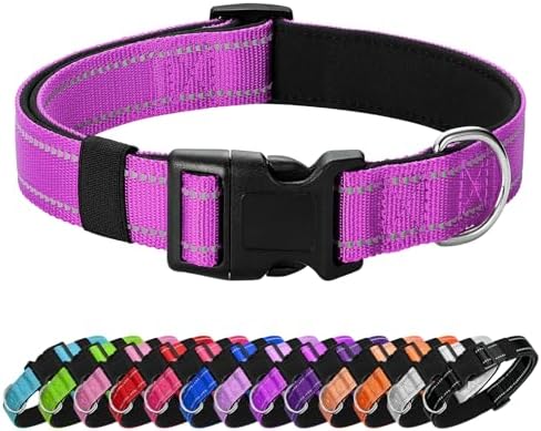 Reflective Dog Collar, Adjustable Nylon for Small Dogs, Magenta by Penseepet
