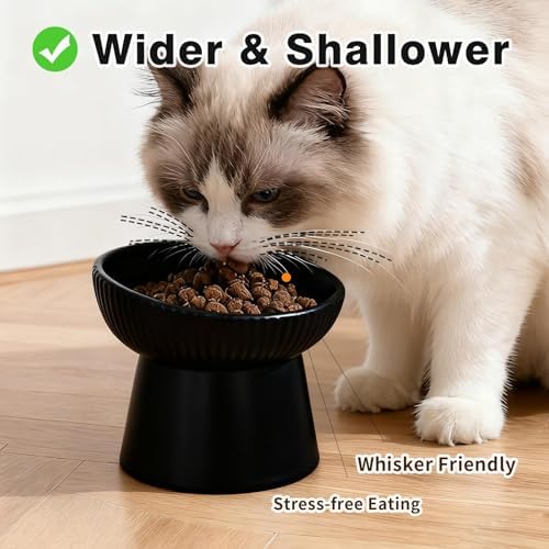Elevated Cat Food Bowl, Ceramic Raised and Tilted Water Bowl, Whisker Fatigue Cat Bowls for Indoor Cats, Anti Vomiting and Protect Spines Pet Feeding Dishes for Kittens Small Dog, Heavy Non-Slip Base - Image 3