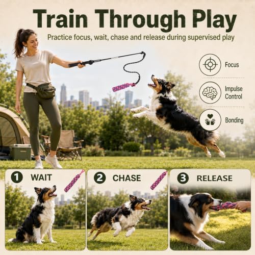 Flirt Pole for Dogs,Heavy Duty Interactive Chase & Rope Tug Toy - Image 3