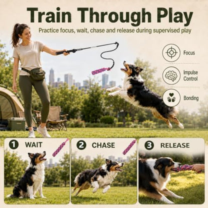 Flirt Pole for Dogs,Heavy Duty Interactive Chase & Rope Tug Toy - Image 3