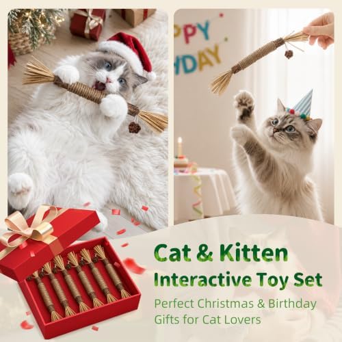 GBSYU Silvervine Sticks Cat Kitten Chew Toys for Indoor Cats Teeth Cleaning - Image 6