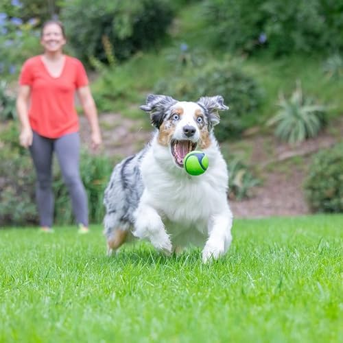 Chuckit! Sniff Ball Dog Toy, Peanut Butter Scented, Medium, 1 Pack - Image 4
