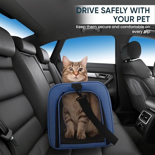 Pet Travel Carrier Bag – Airline Approved Soft-Sided Dog & Cat Carrier, Foldable, Breathable Mesh, Washable Pad – Fits Pets up to 15 lbs – The Pup Quartet (Blue) - Image 6