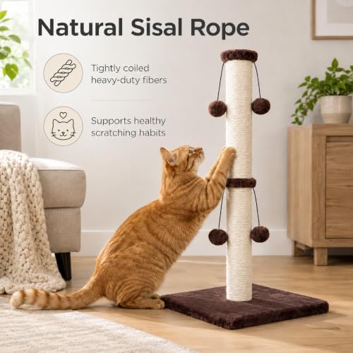Dimaka Cat Scratching Post, Cat Scratcher for Large Cats with Teasing Toy Ball (Dark Brown, 29 inches for All Cats) - Image 7