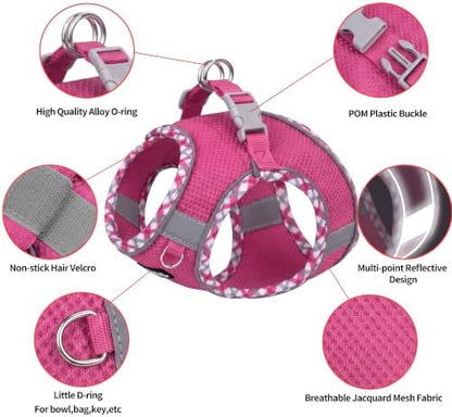 AIITLE Teacup Puppy Harness and Leash with Escape-Proof Design, Hot-Pink, S - Image 2
