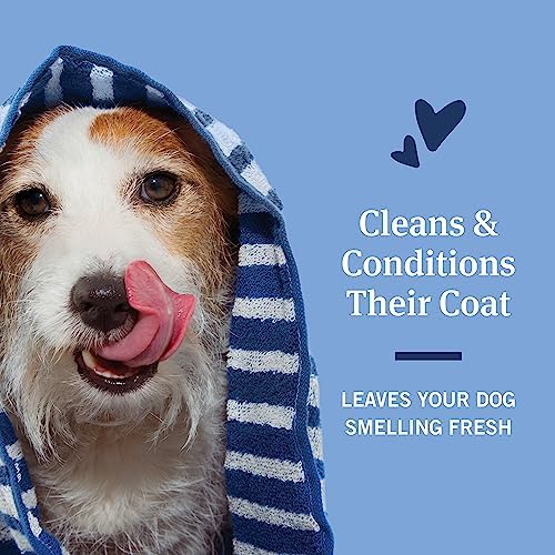 PetArmor Flea & Tick Protection Oatmeal Shampoo for Dogs, Hawaiian Ginger Scent, 18 oz (Pack of 2) - Image 3