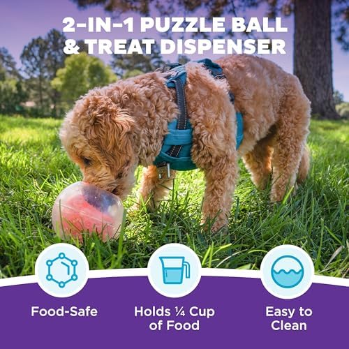 Outward Hound by Nina Ottosson Topsy Treat Ball Dog Puzzle, Level 1 Beginner, Orange - Image 2