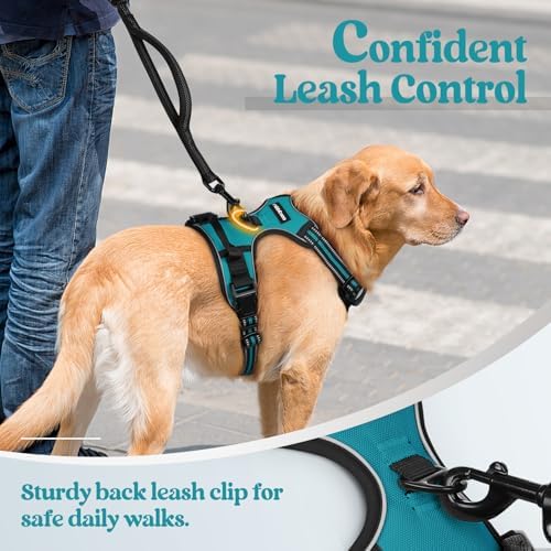 rabbitgoo Dog Harness, No Pull Medium Sized with 2 Leash Clips, Pet Vest - Image 6