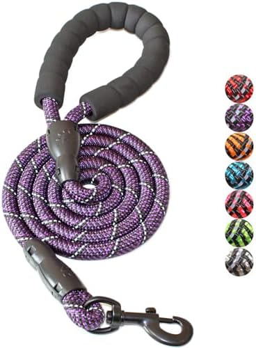BAAPET 2/4/5/6 FT Dog Leash with Comfortable Padded Handle and Highly Reflective Threads for Small Medium and Large Dogs (5FT-1/2'', Black Purple) by BAAPET