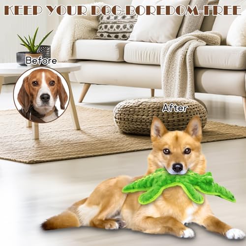 No Stuffing Dog Squeak Toys, Chew Toys for Small, Large Puppies Crocodile - Image 6