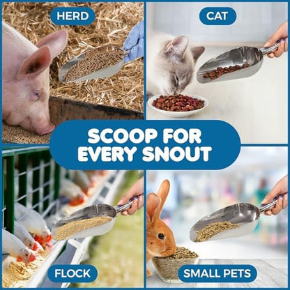 SunGrow Large Cat Litter and Food Scoop, Life Transforming 2-in-1 Scooper, Reduces Hand Fatigue, Saves Clear Litter, Makes Scooping Faster and Easier (Silver, Small) - Image 5